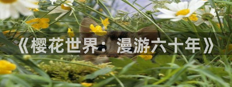 age动漫下载入口：《樱花世界：漫游六十年》