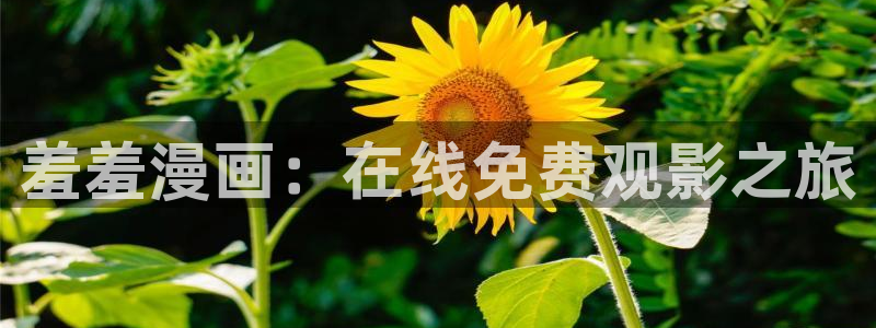 拷贝漫画 copymanager.ory网站：羞羞漫画：在线免费观影之旅