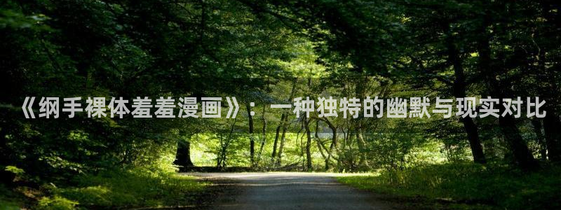 age动漫：《纲手裸体羞羞漫画》：一种独特的幽默与现实对比