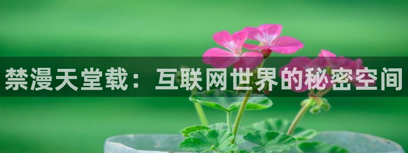 age漫画网：禁漫天堂载：互联网世界的秘密空间