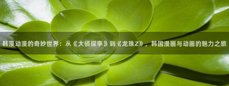 stagenehind韩漫免费观看：韩漫动漫的奇妙世界：从《大侦探李》到《龙珠Z》，韩国漫画与动画的魅力之旅