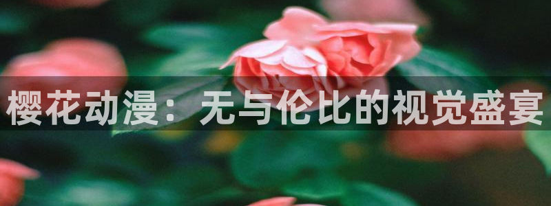 拷贝漫画 copymanager.ory网站：樱花动漫：无与伦比的视觉盛宴