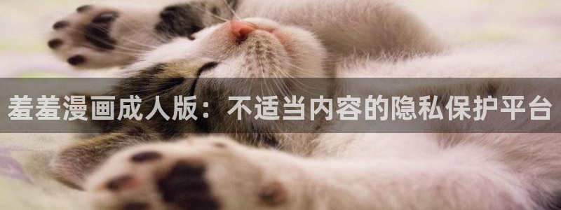 在线动画动漫下载age动漫：羞羞漫画成人版：不适当内容的隐私保护平台
