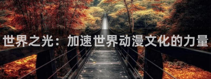 kakaopage韩漫官网：世界之光：加速世界动漫文化的力量
