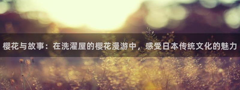 kakaopage韩漫官网：樱花与故事：在洗濯屋的樱花漫游中，感受日本传统文化的魅力