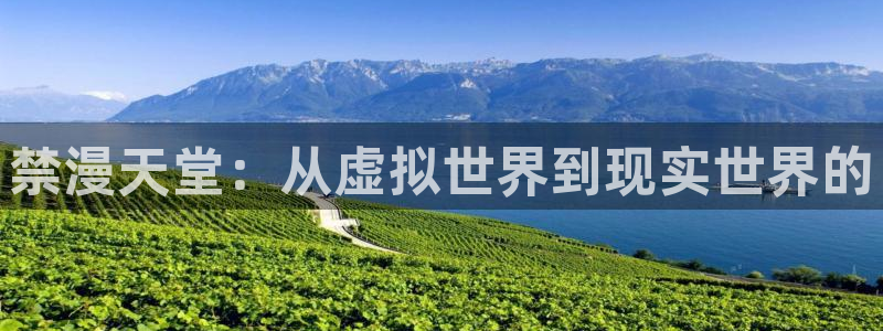 age动漫下载：禁漫天堂：从虚拟世界到现实世界的