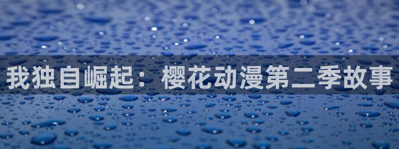 age动漫网上看：我独自崛起：樱花动漫第二季故事