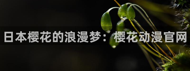 age动漫网：日本樱花的浪漫梦：樱花动漫官网