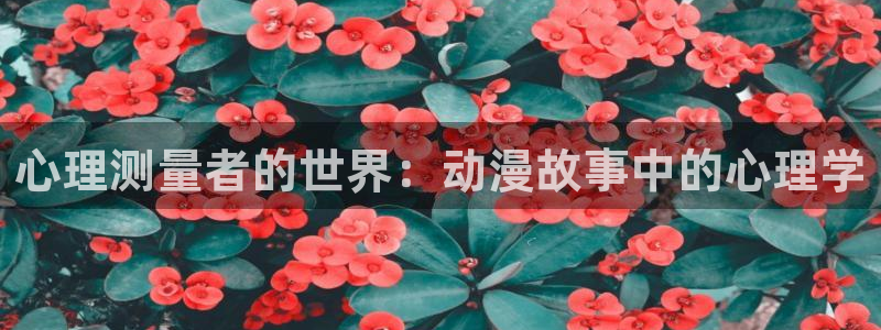 age动漫网官网入口：心理测量者的世界：动漫故事中的心理学
