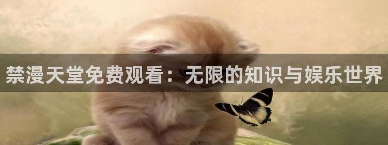 age动漫官网入口老版本：禁漫天堂免费观看：无限的知识与娱乐世界