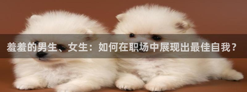 age动漫网下载：羞羞的男生、女生：如何在职场中展现出最佳自我？